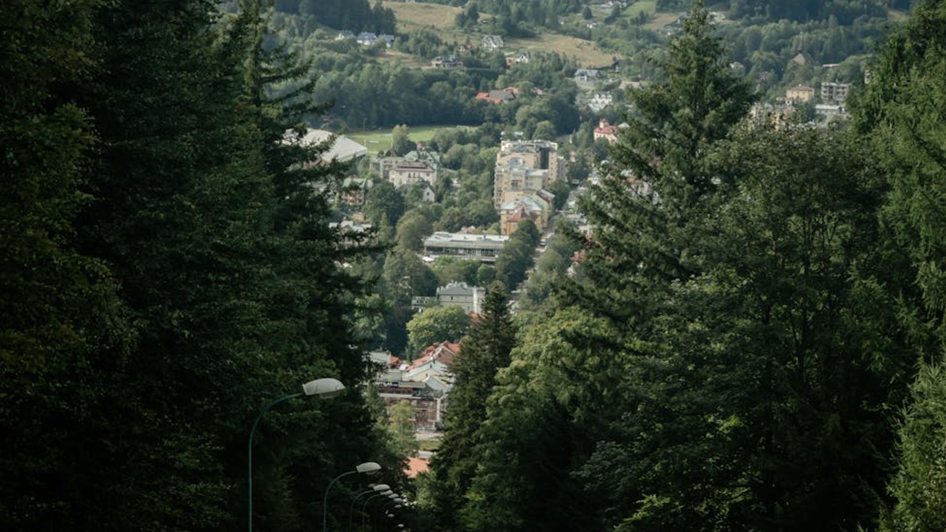 Serene landscape with deep green forest and distant mountains.